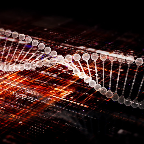 Genetics and Bioinformatics Research Program